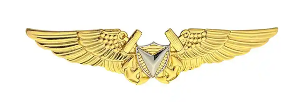 Navy Aerial Vehicle Pilot (AVP) insignia Navy Aerial Vehicle Pilot (AVP) insignia